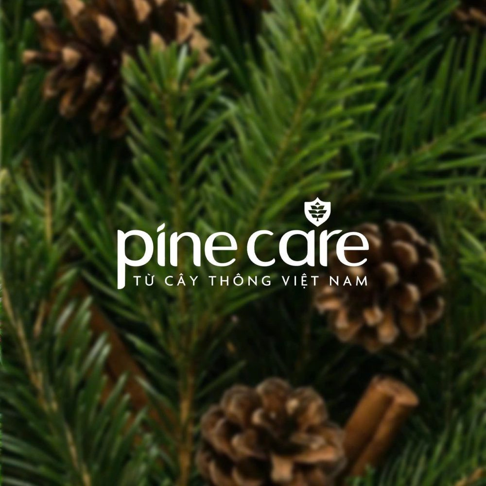 Pine Care nhận giải thưởng tại Lễ Vinh danh Dấu ấn Thương hiệu Việt 2025 