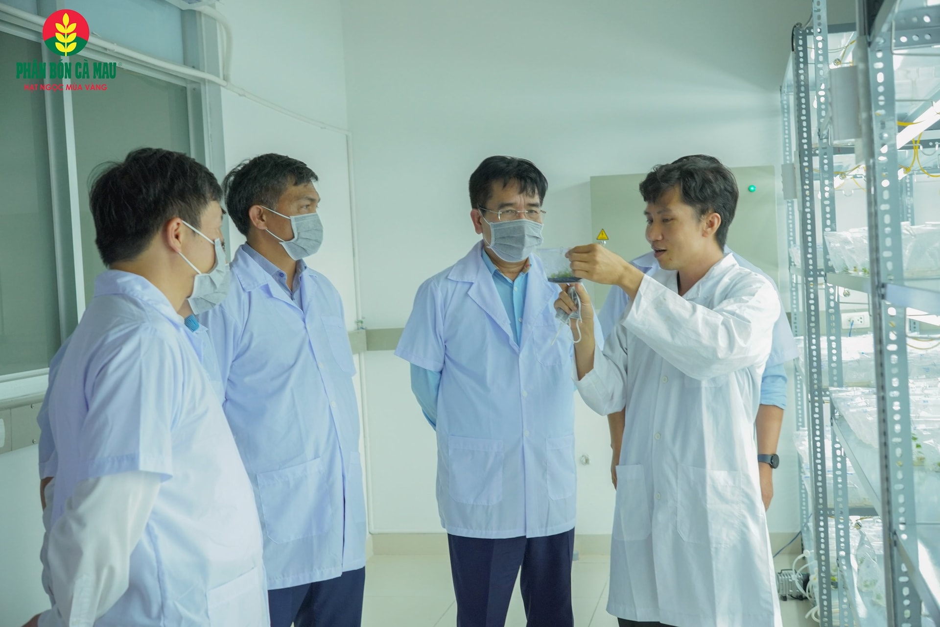 Lĩnh vực (R&D là một trong những mảng chiến lược được PVCFC ưu tiên đầu tư mạnh mẽ