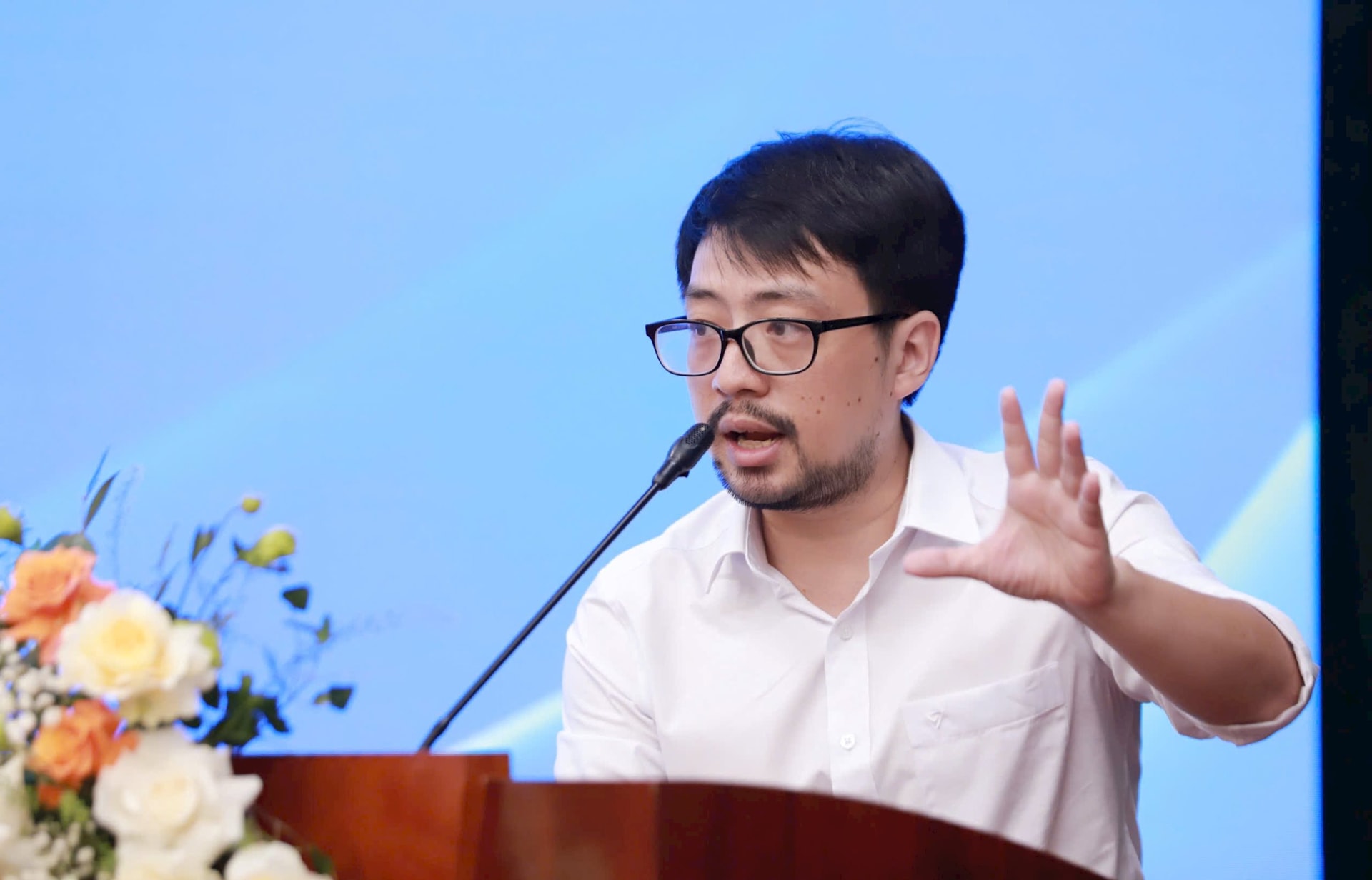 Phong Anh
