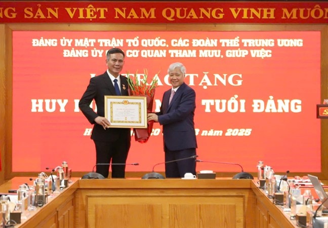 mt1.jpg