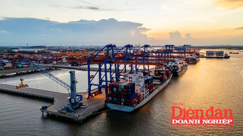 KCN Nam Đình Vũ nằm tại trung tâm của Khu kinh tế Đình Vũ - Cát Hải, cửa ngõ của toàn bộ tuyến luồng hàng hải cửa sông Bạch Đằng