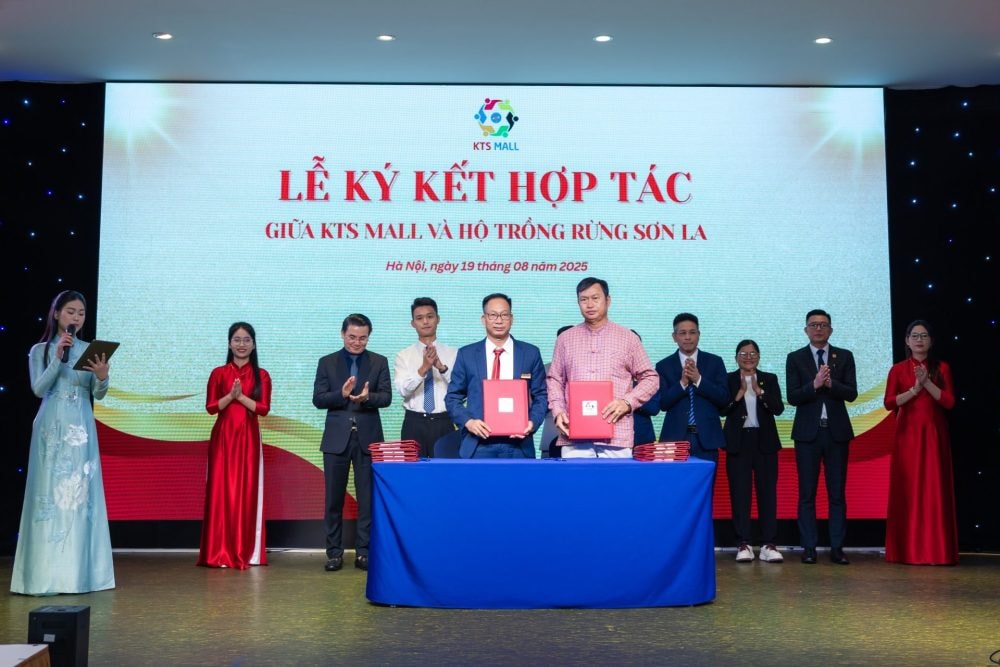 KTS Holdings sơ kết 6 tháng đầu năm 2025