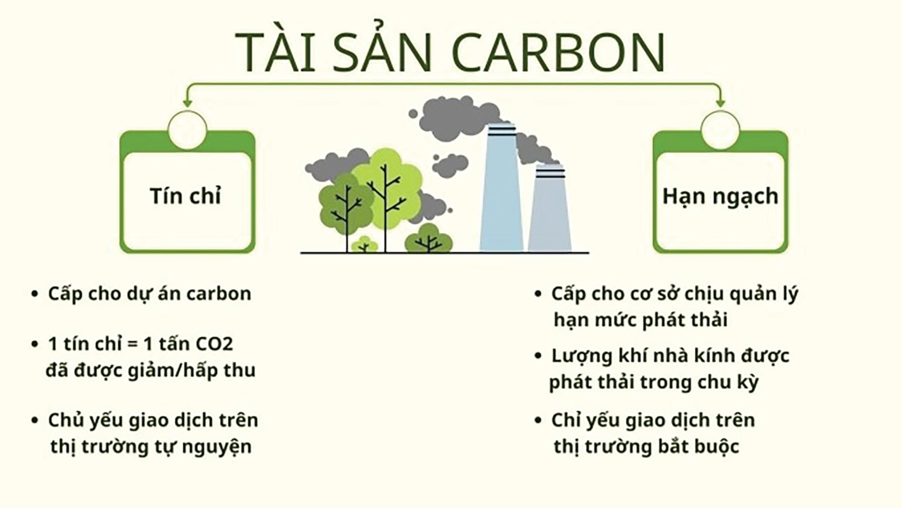 carbon4.jpeg