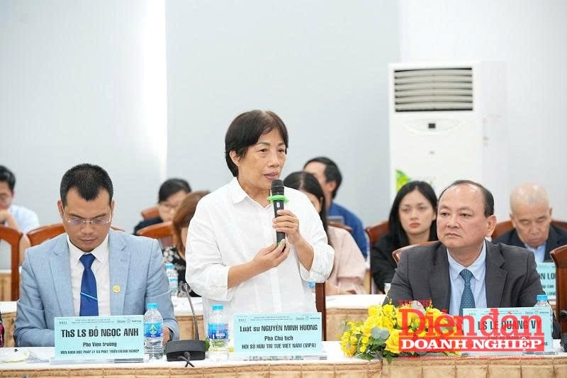 Luật sư Nguyễn Minh Hương - Phó Chủ tịch Hội Sở hữu trí tuệ Việt Nam (VIPA)