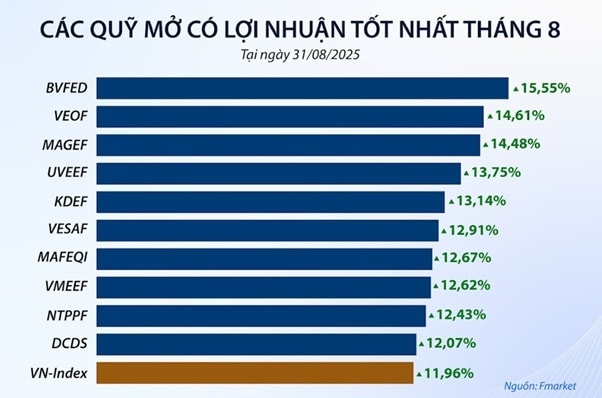 quy mo t8