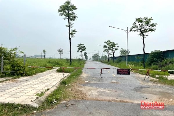 Bản sao img_5866-enternews-1651679266 3