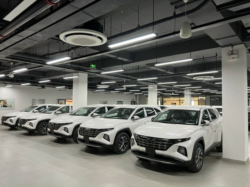 xe1 (1)