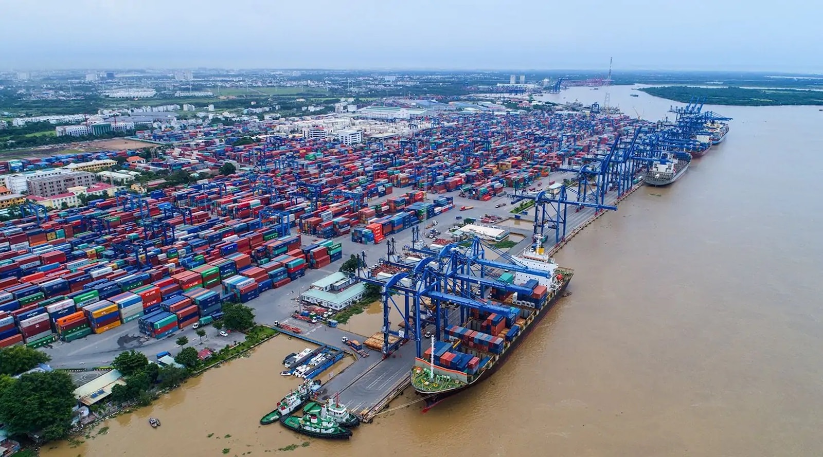 Bản sao cp-cang-cat-lai-1 (1)