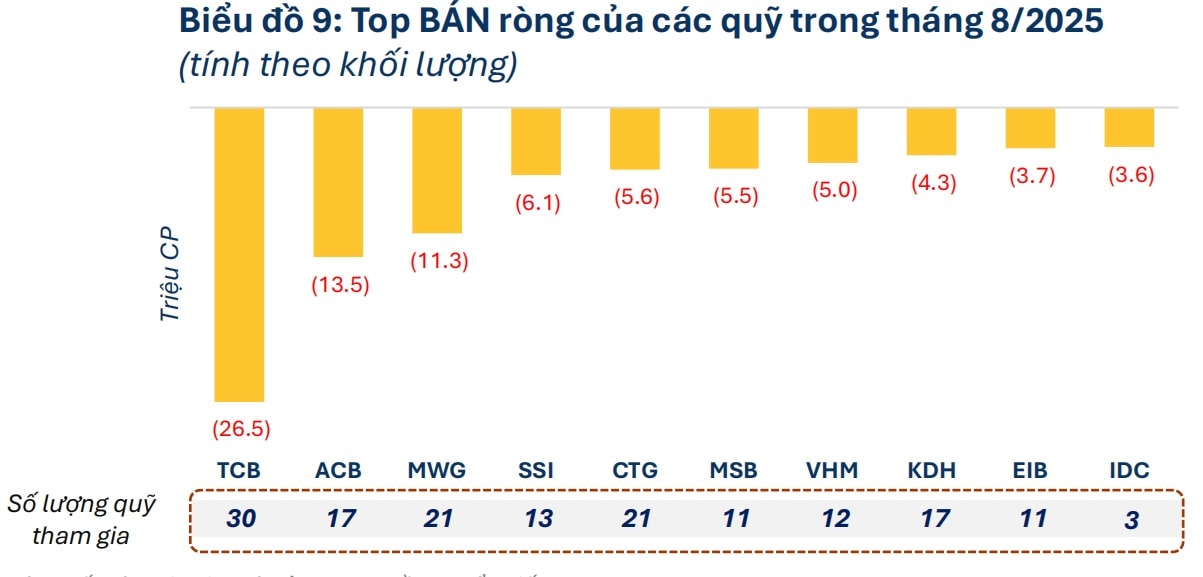 Quỹ T8.1