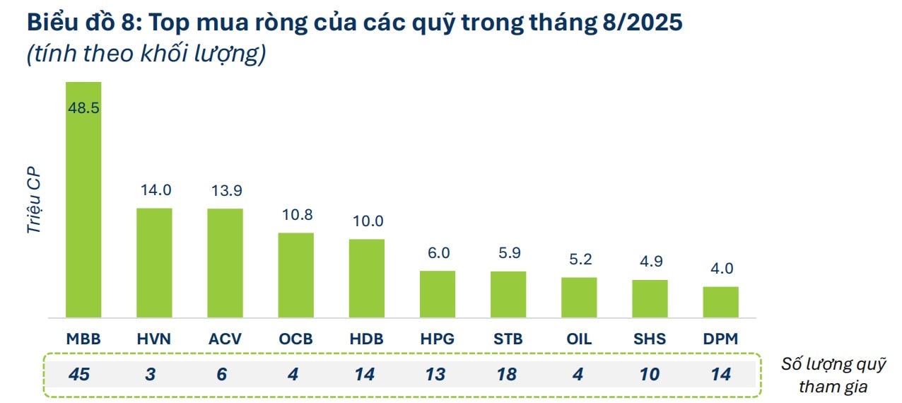 quy T8