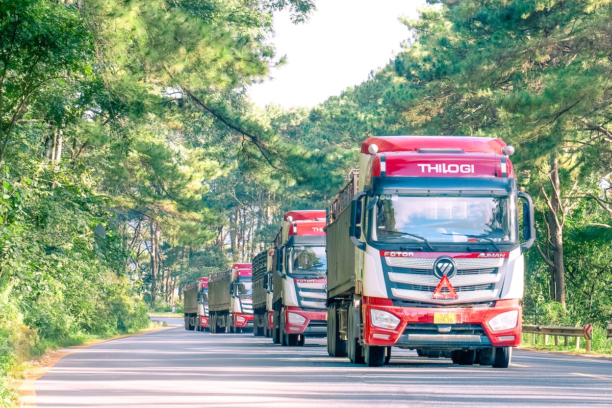 2. Dịch vụ vận tải đường bộ nội địa và liên vận quốc tế quy mô lớn