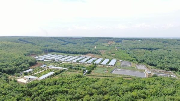 C.P. Việt Nam: Hành trình xanh vun đắp nền nông nghiệp bền vững