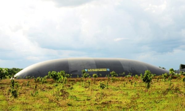 C.P. Việt Nam: Hành trình xanh vun đắp nền nông nghiệp bền vững