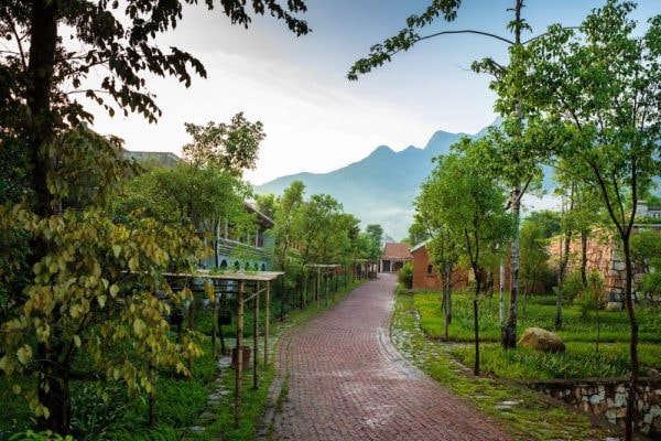 Hành hương Yên Tử – Thiền phái Trúc Lâm và Hành trình hòa quyện truyền thống với hiện đại