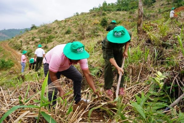 C.P. Việt Nam: Hành trình xanh vun đắp nền nông nghiệp bền vững