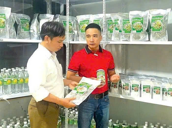 ninhbinh-cds.jpg