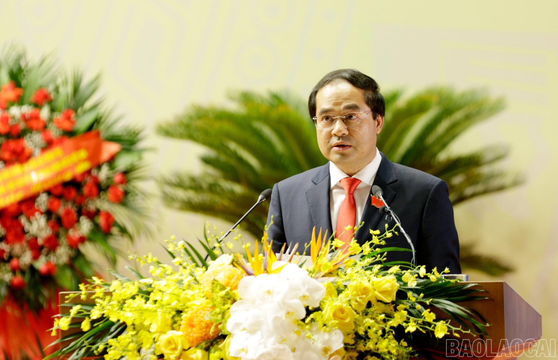 baolaocai-br_mg-8271.jpg