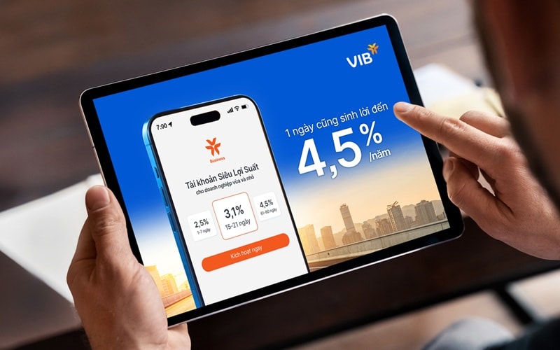 VIB 1