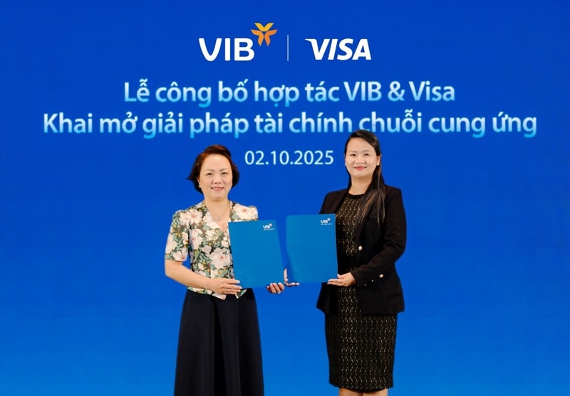 vib2(1).jpg