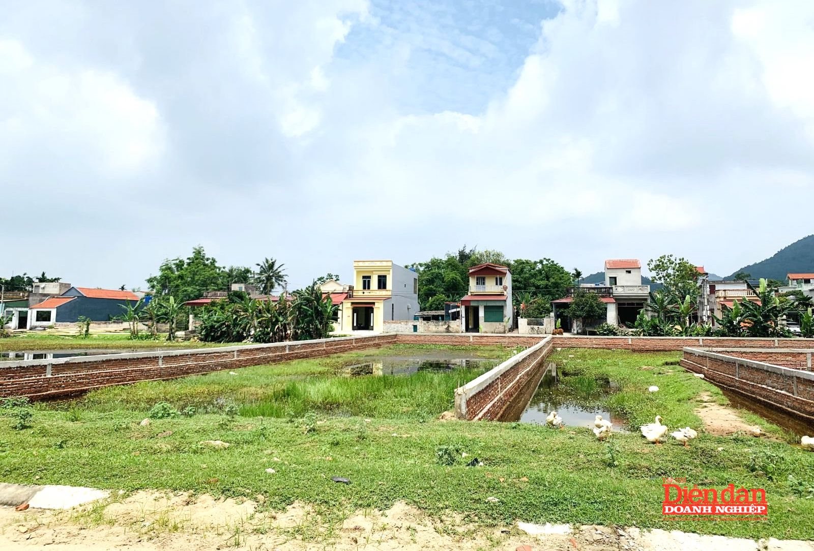 Bản sao IMG_3623 2