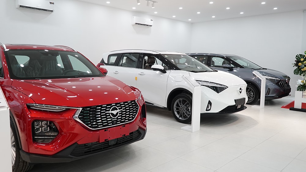 ly-do-xe-dien-trung-quoc-kho-ban-vneconomyautomotive-2.jpg