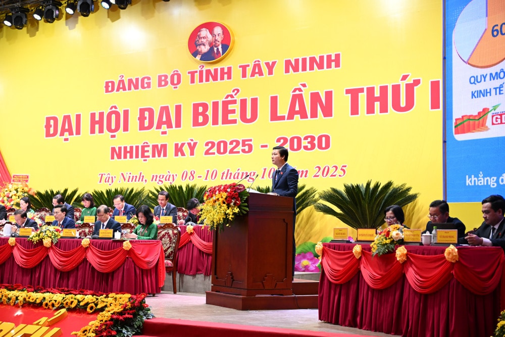 Sở Tài chính đề xuất 8 nhóm giải pháp trọng tâm để đưa kinh tế tư nhân tỉnh Tây Ninh thực sự trở thành động lực quan trọng của nền kinh tế tỉnh