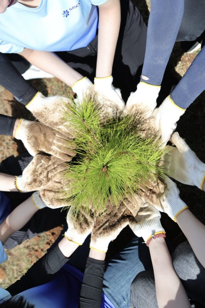 SASCO lan tỏa tinh thần sống xanh từ sân bay Tân Sơn Nhất đến cộng đồng