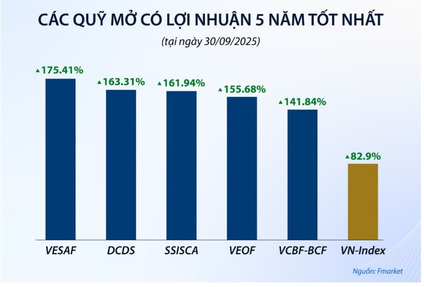 VN quy 2