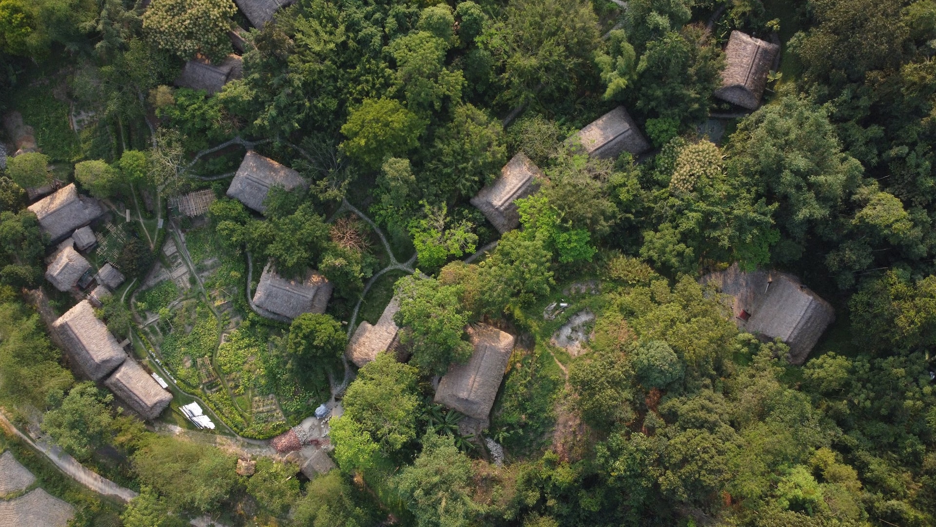 dji_0991.jpg