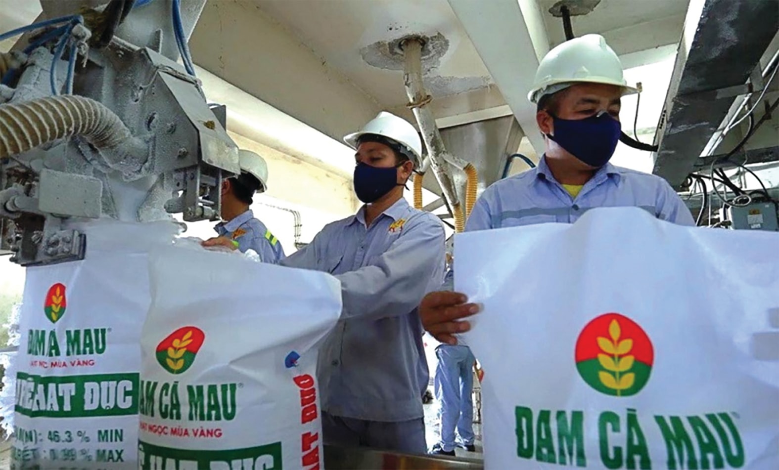 dam-ca-mau-.jpg