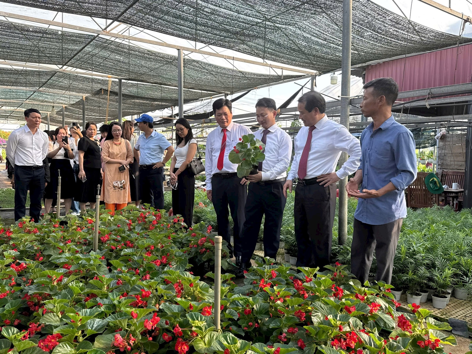 phuc-tho.jpg