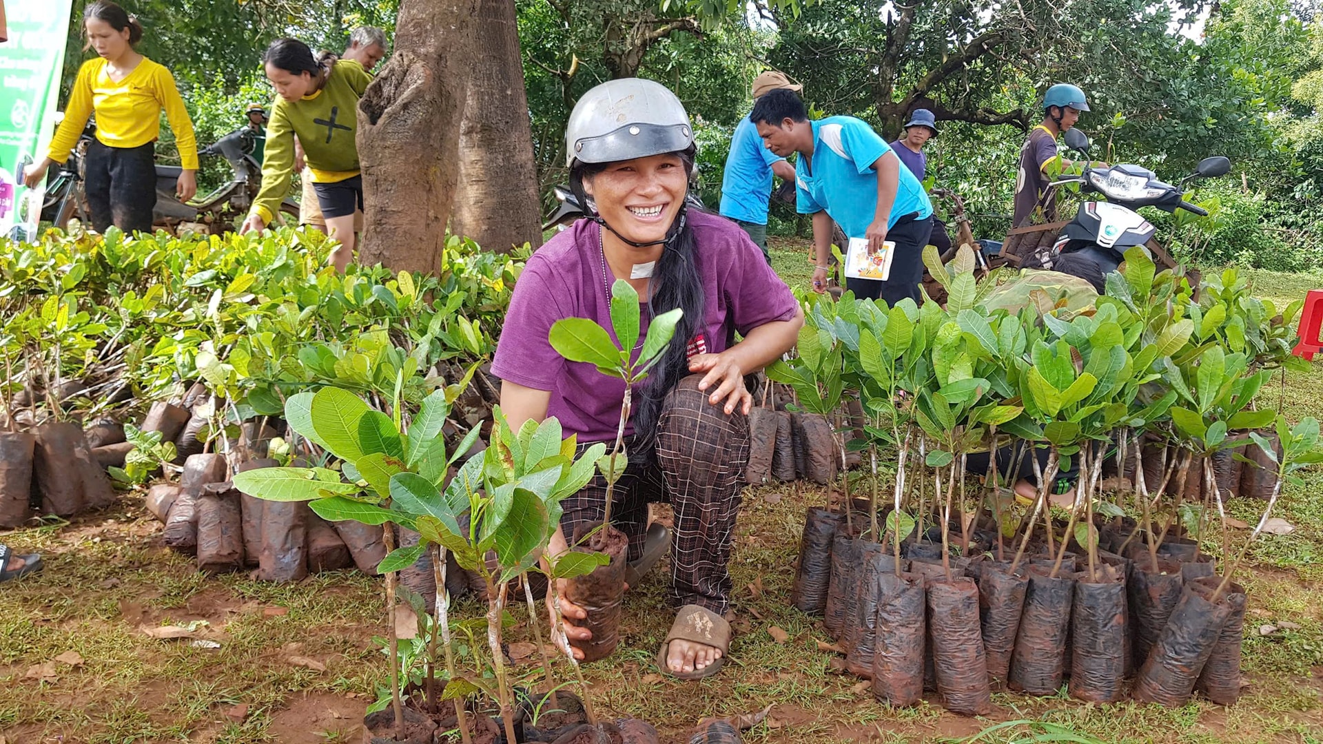 Một nông dân được ofi Việt Nam trao tặng cây điều giống
