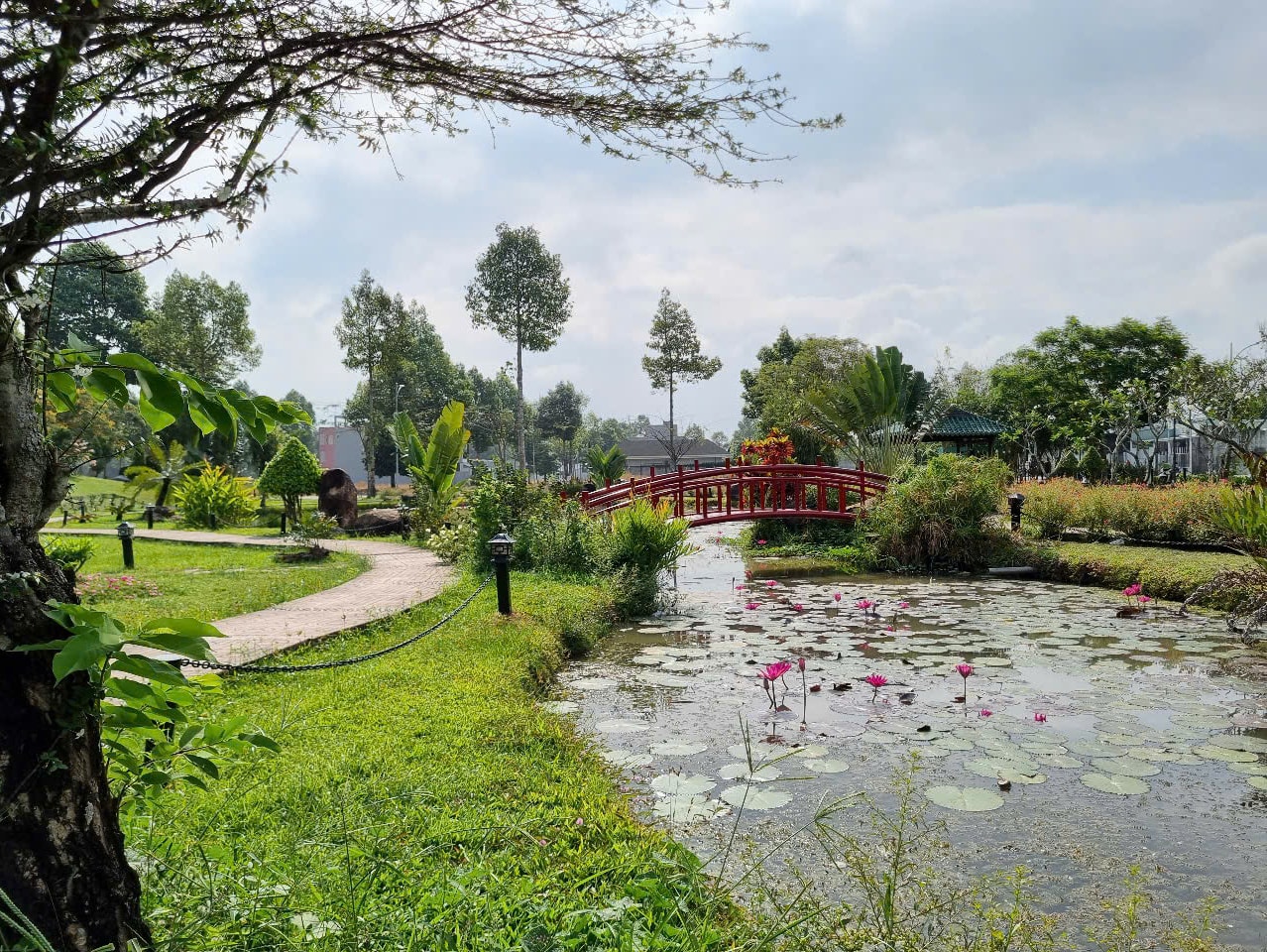 Bình Thủy 4