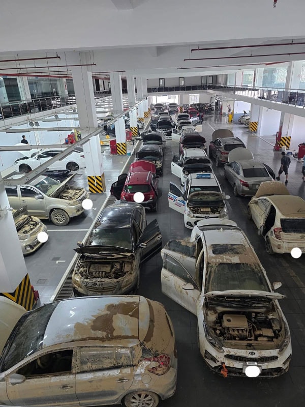 Xe ngập nước xếp đầy một đại lý ô tô.