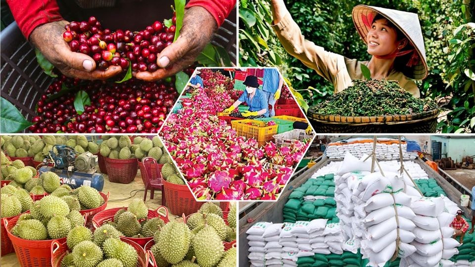 Tình trạng chậm hoàn thuế GTGT theo Luật Thuế GTGT mới đang gây “nghẽn dòng vốn” nghiêm trọng - Ảnh: ITN