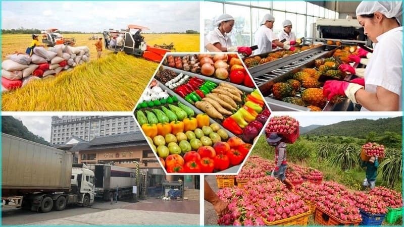 Để thuế không trở thành “điểm nghẽn” của chuỗi cung ứng nông sản