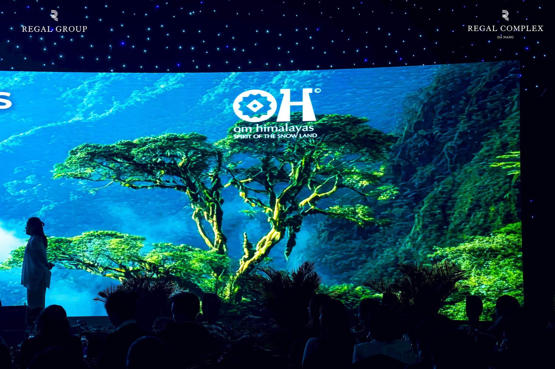 Ảnh 5 - Regal Complex