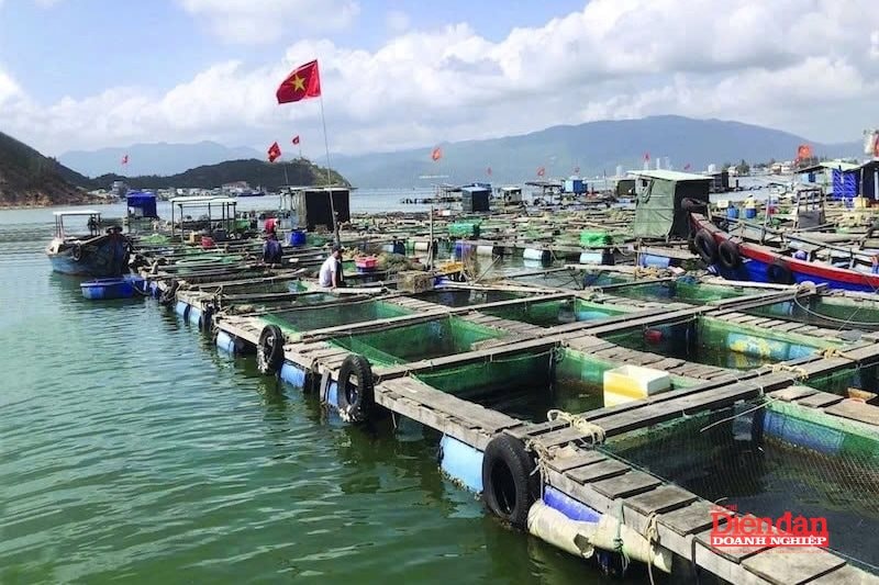 Kể từ năm 2017Kiên quyết không để tàu không đủ điều kiện ra khơi