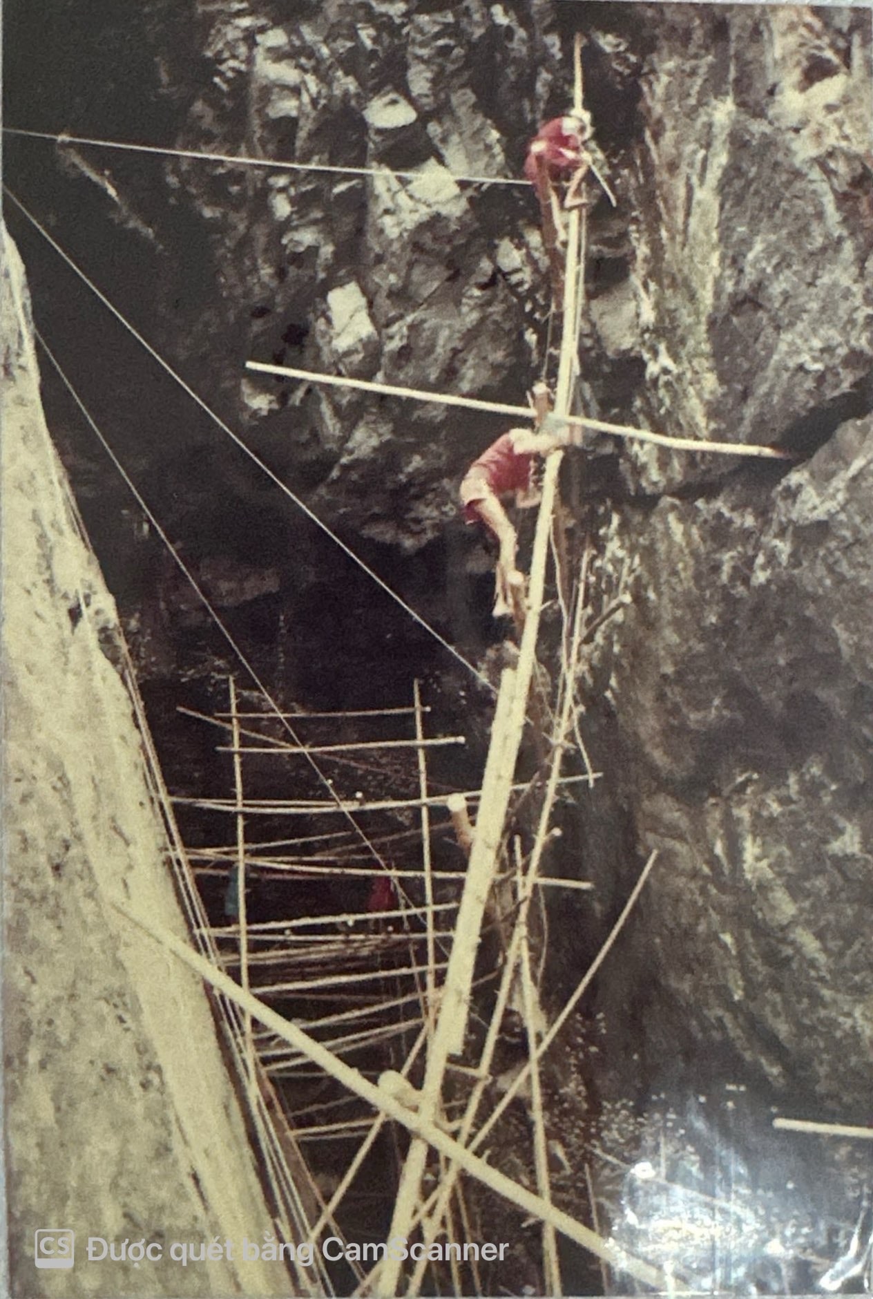 Khai thác yến sào đảo thiên nhiên năm 1990