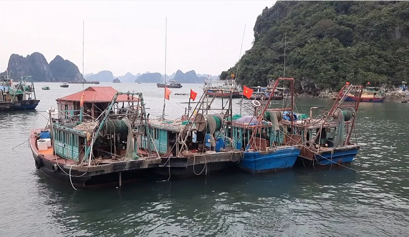 iuu quang ninh