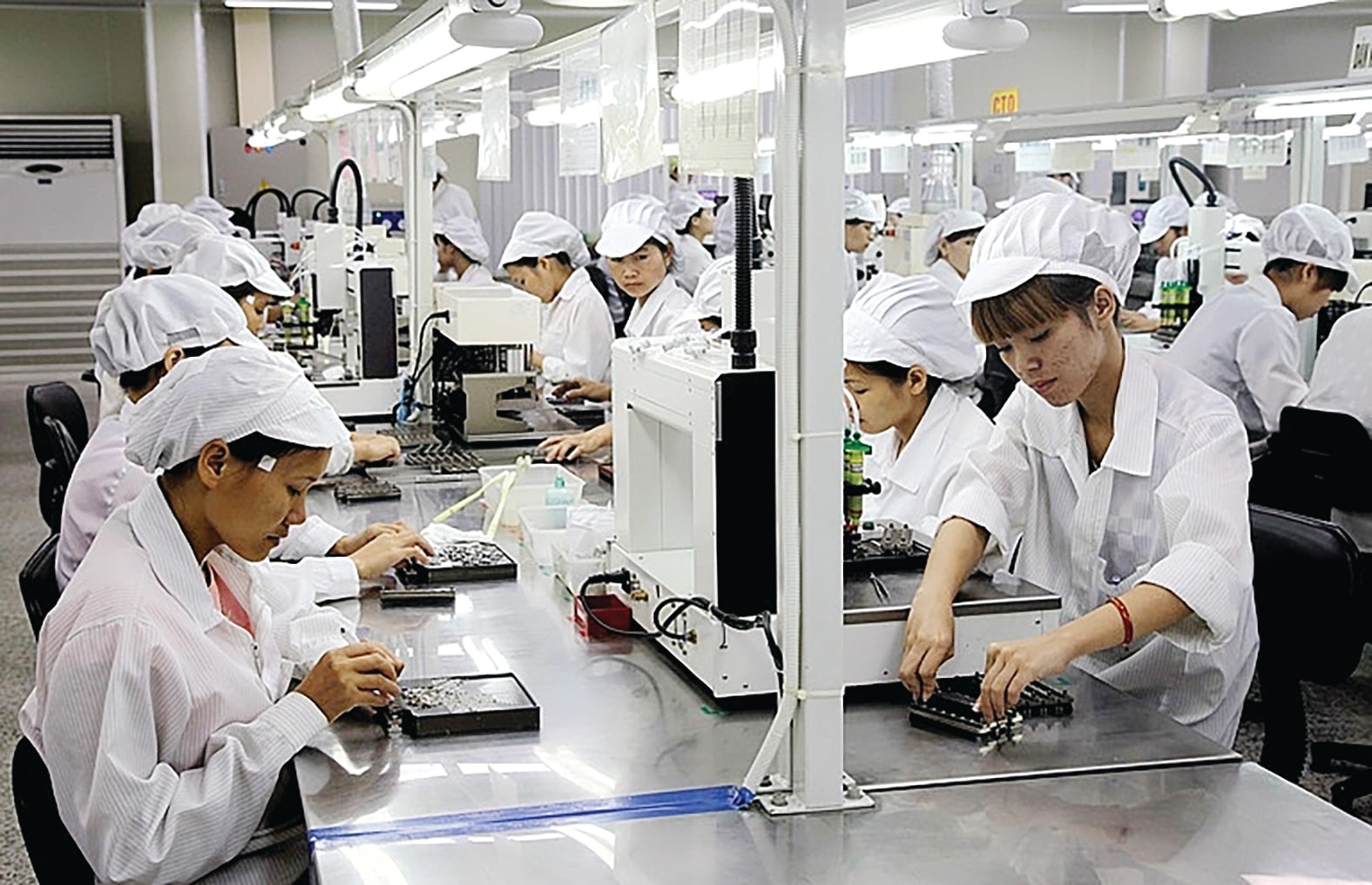 Quản trị rủi ro và chuyển đổi bền vững