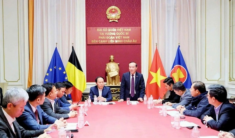 Ông Nguyễn Văn Thảo, Đại sứ Việt Nam tại Vương quốc Bỉ kiêm nhiệm Luxembourg và Phái đoàn Việt Nam tại EU