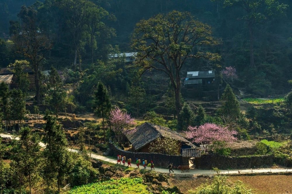 Công viên địa chất toàn cầu UNESCO Cao nguyên đá Đồng Văn – Điểm đến văn hóa hàng đầu thế giới năm 2025