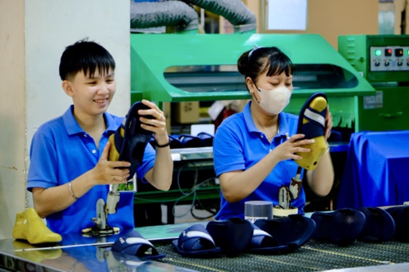 Trong khu vực tư nhân, doanh nghiệp gia đình đóng vai trò quan trọng và chiếm tỷ lệ lớn. (Ảnh minh họa: Sản xuất tại Bitis - một thương hiệu doanh nghiệp gia đình)