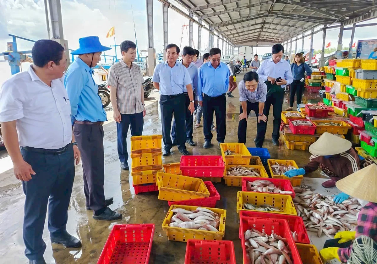 Lãnh đạo Thành ủy Cần Thơ đến nắm bắt tình hình hoạt động Cảng cá Trần Đề