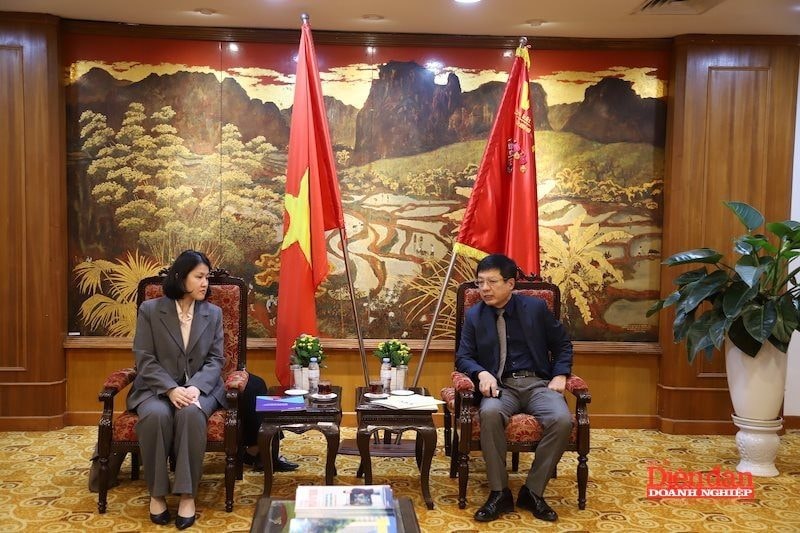 VCCI và ILO thúc đẩy hợp tác toàn diện trong giai đoạn mới