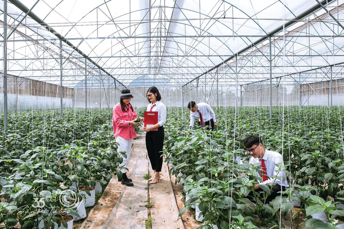 Agribank tiên phong trong việc triển khai các chương trình tín dụng xanh.