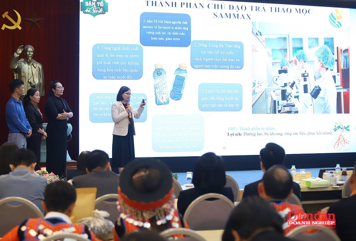 Theo đại diện dự án, sâm Núi Dành là dược liệu quý từng được dùng để tiến vua, có tác dụng thanh nhiệt, bồi bổ sức khỏe.