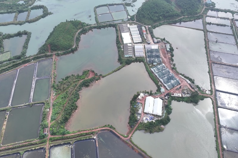 DJI_20251109093251_0026_D (1)