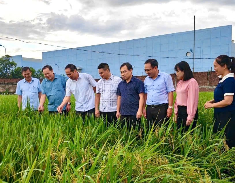 268110769251419022 (1)